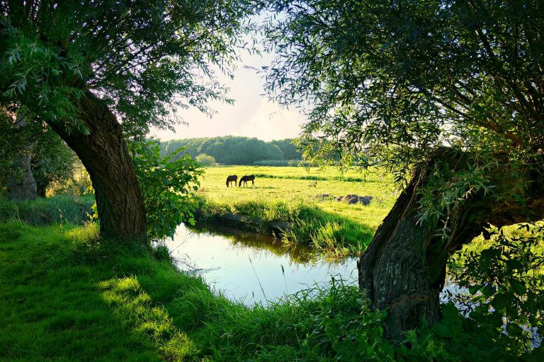 Natuurinclusief bouwproject met quickscan flora en fauna analyse voor biodiversiteit en duurzame omgeving